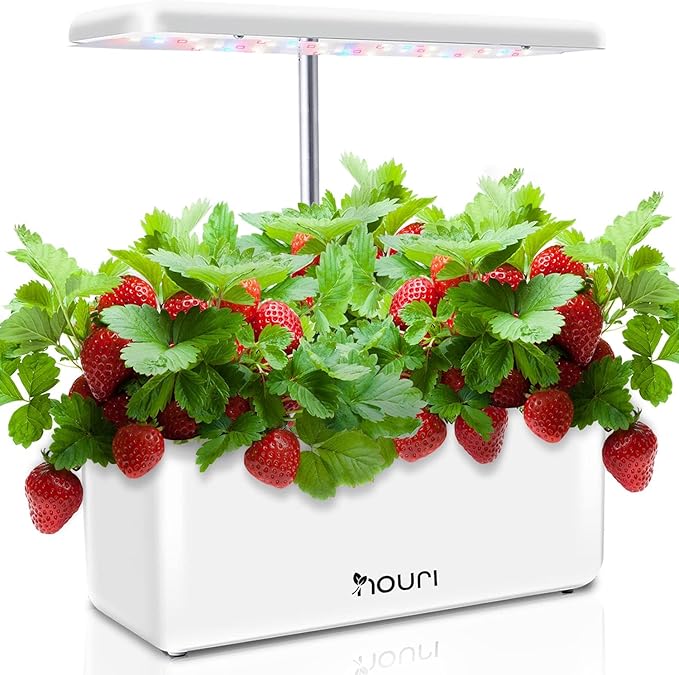 Nouri Smart Garden 12 Pods for Home Cooks | Basil included | Hydroponics Growing System | LED Grow Lights | Indoor Herb Garden Kit | Herb Growing Kit indoors for Home & Kitchen Gardening App/NoApp