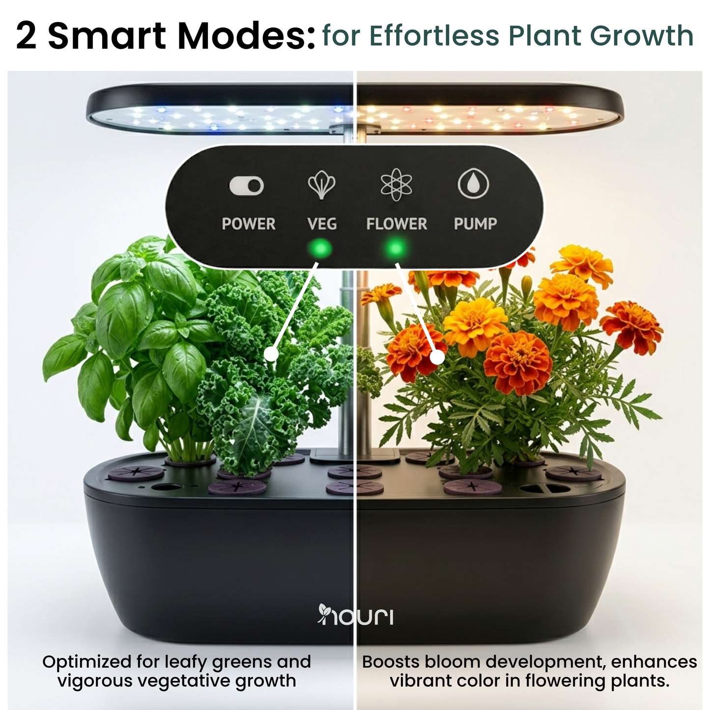 Nouri 12-Pod Indoor Hydroponic Garden