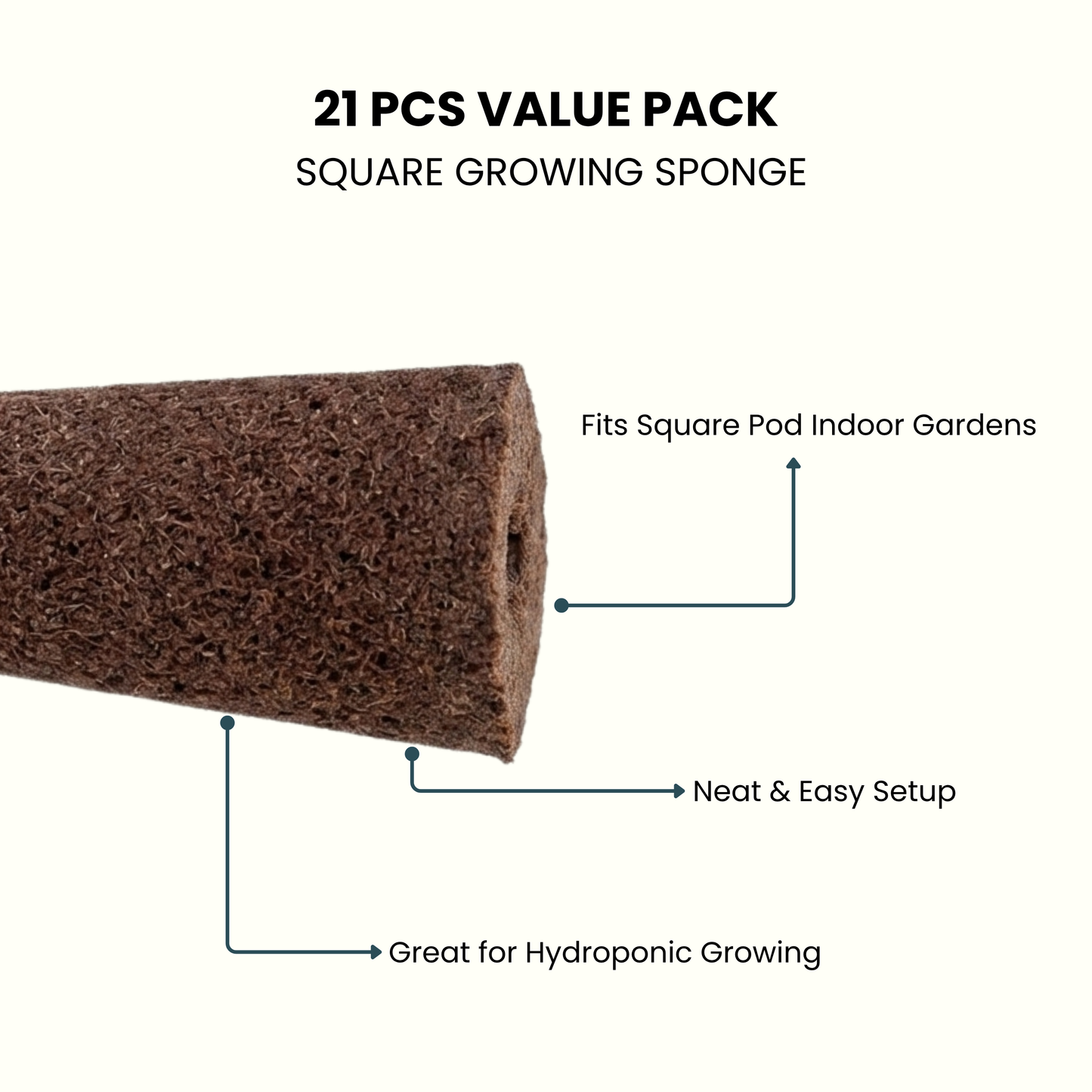 Nouri Square Grow Sponges