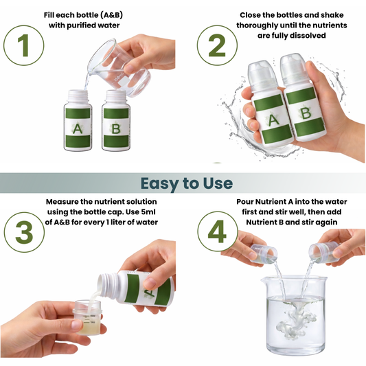 Nouri Hydroponic Liquid Plant Food Fertilizer A and B Nutrients, Hydroponic Growing System Accessory for Indoor Plants, Liquid Fertilizer for Indoor Vegetables Plants, Herb Garden and Flowering Plants