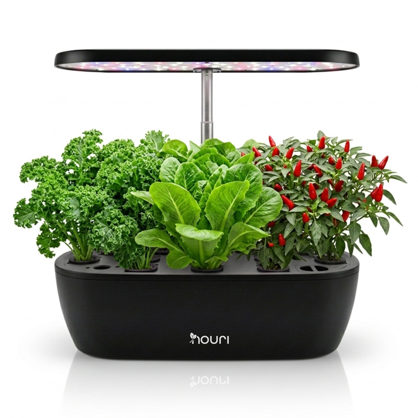 Nouri 12-Pod Indoor Hydroponic Garden