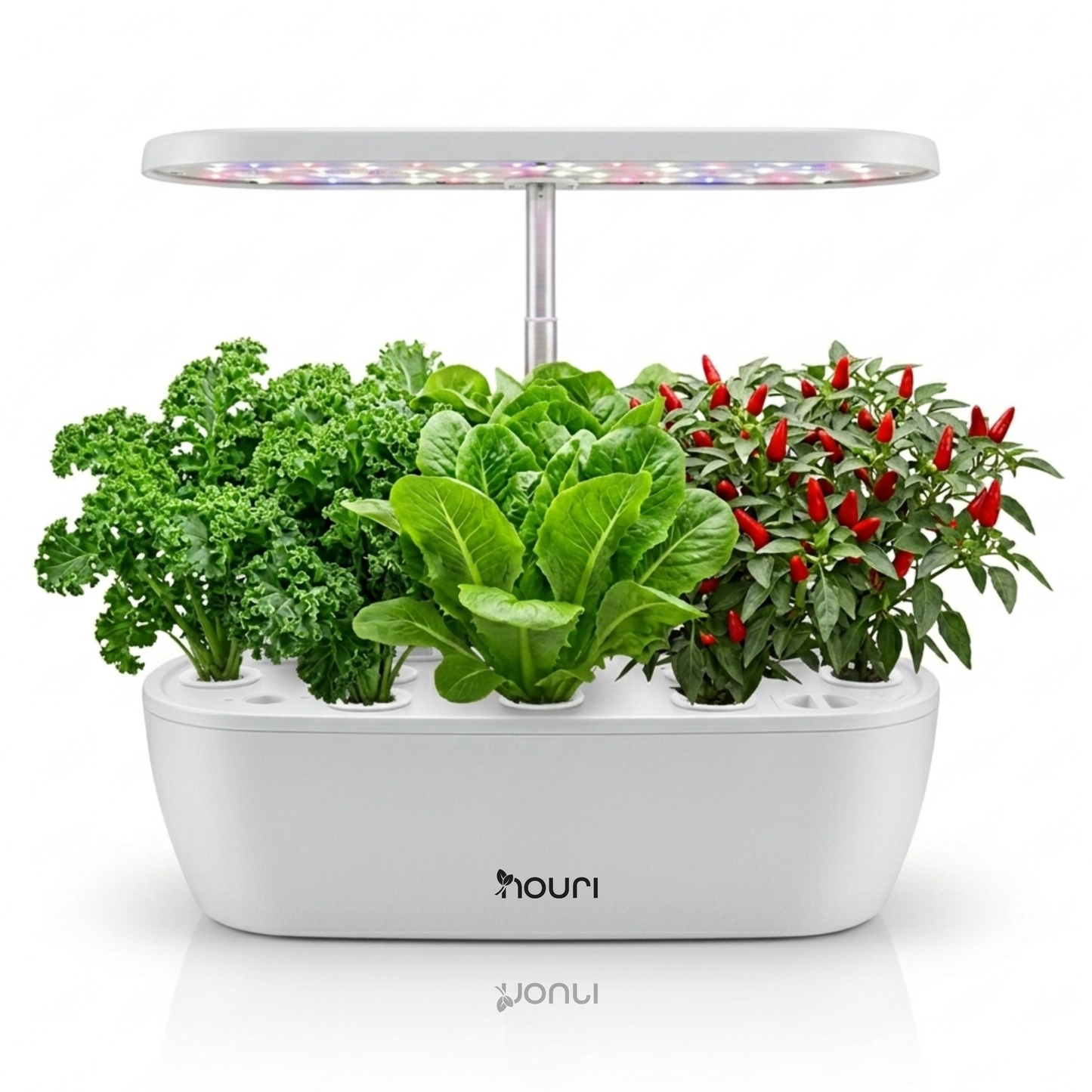 Nouri 12-Pod Indoor Hydroponic Garden