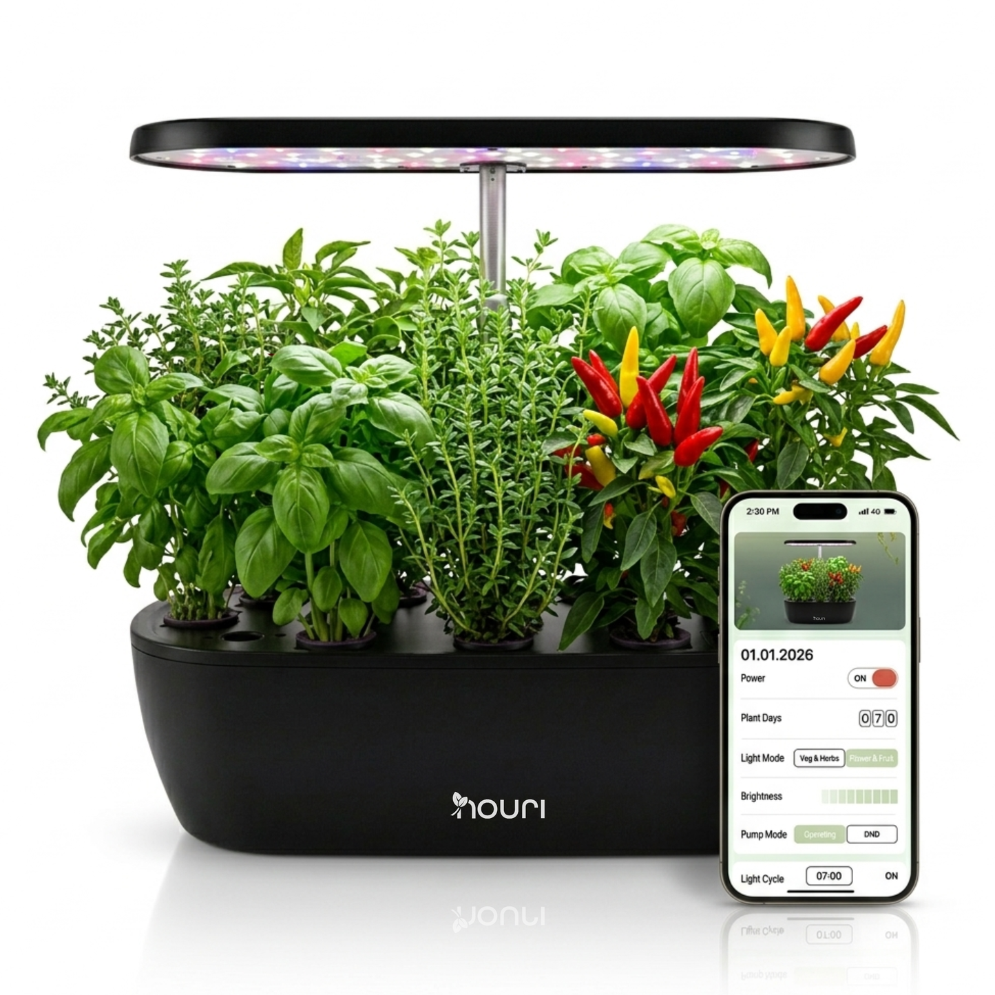 Nouri 12-Pod Indoor Hydroponic Garden