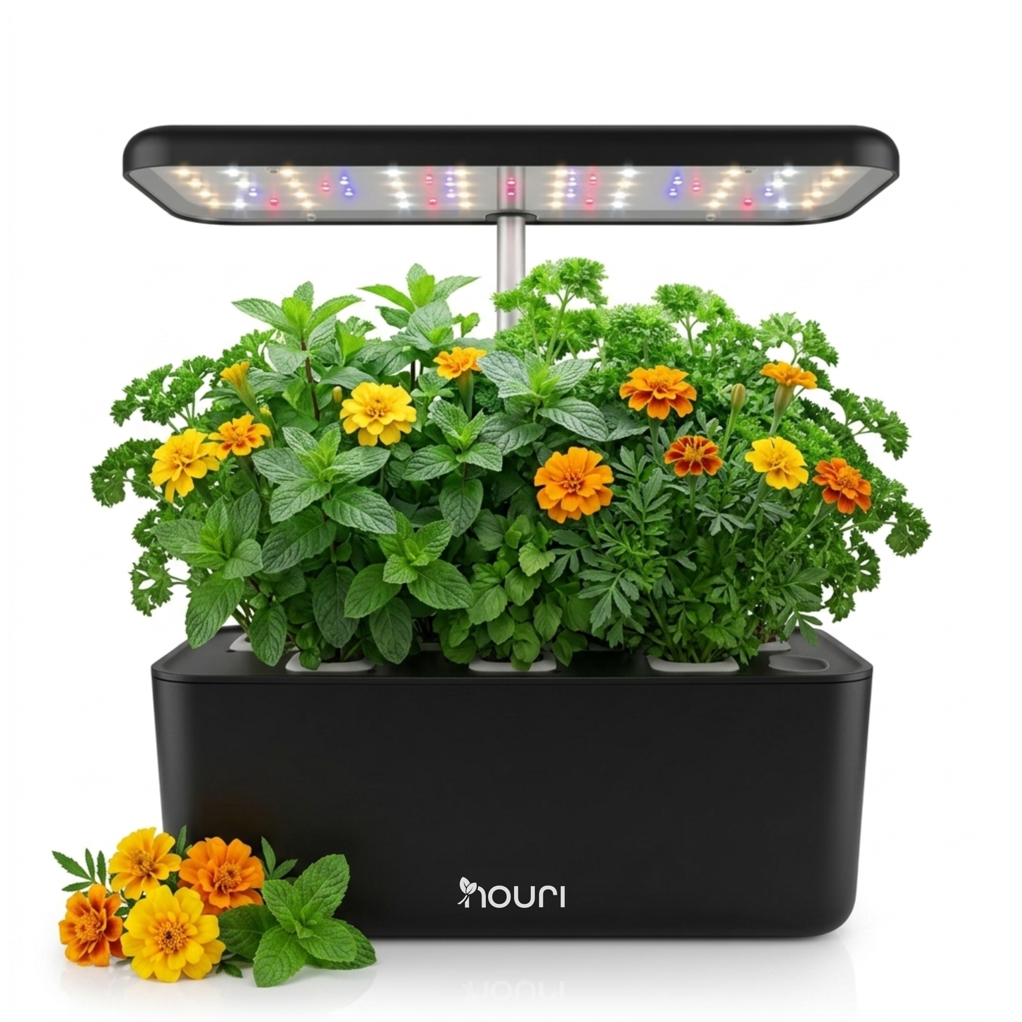 Nouri 7-Pod Indoor Hydroponic Garden