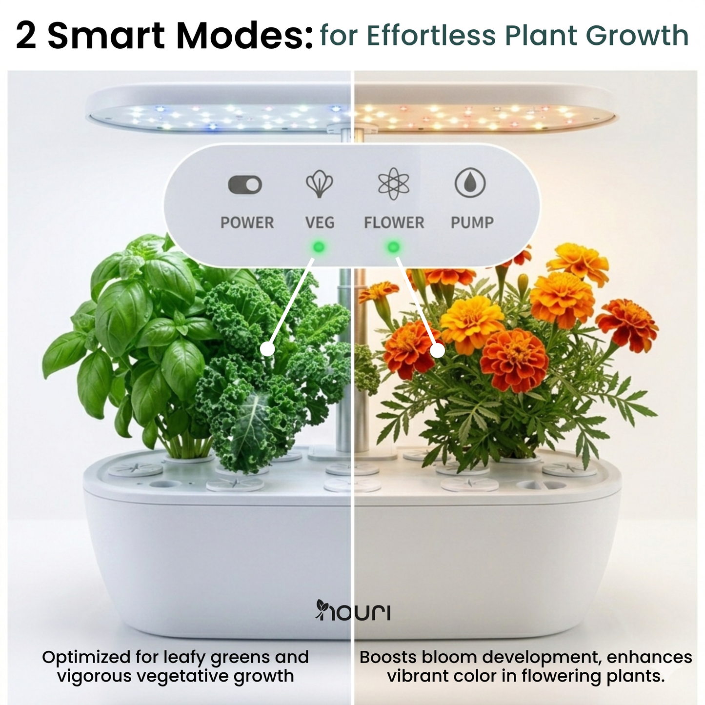 Nouri 12-Pod Indoor Hydroponic Garden