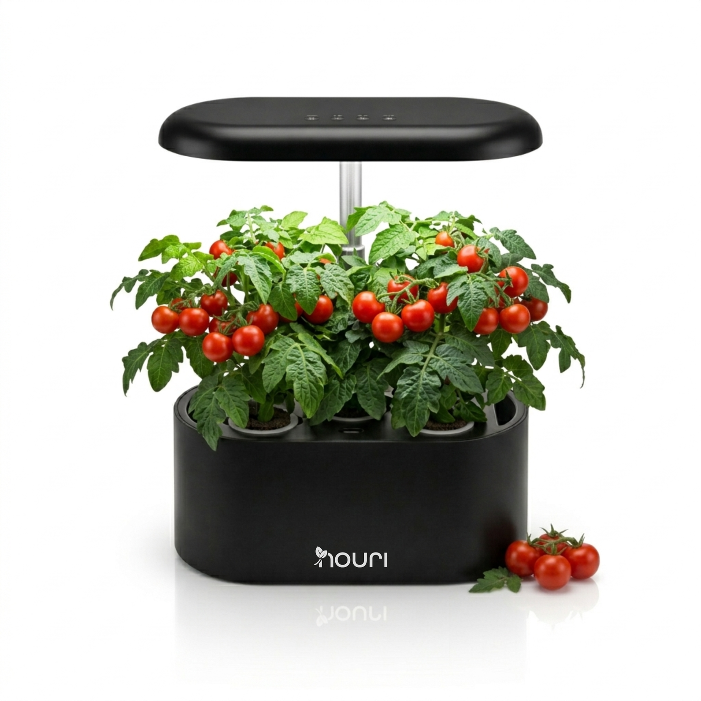 Nouri 5-Pod Indoor Hydroponic Garden