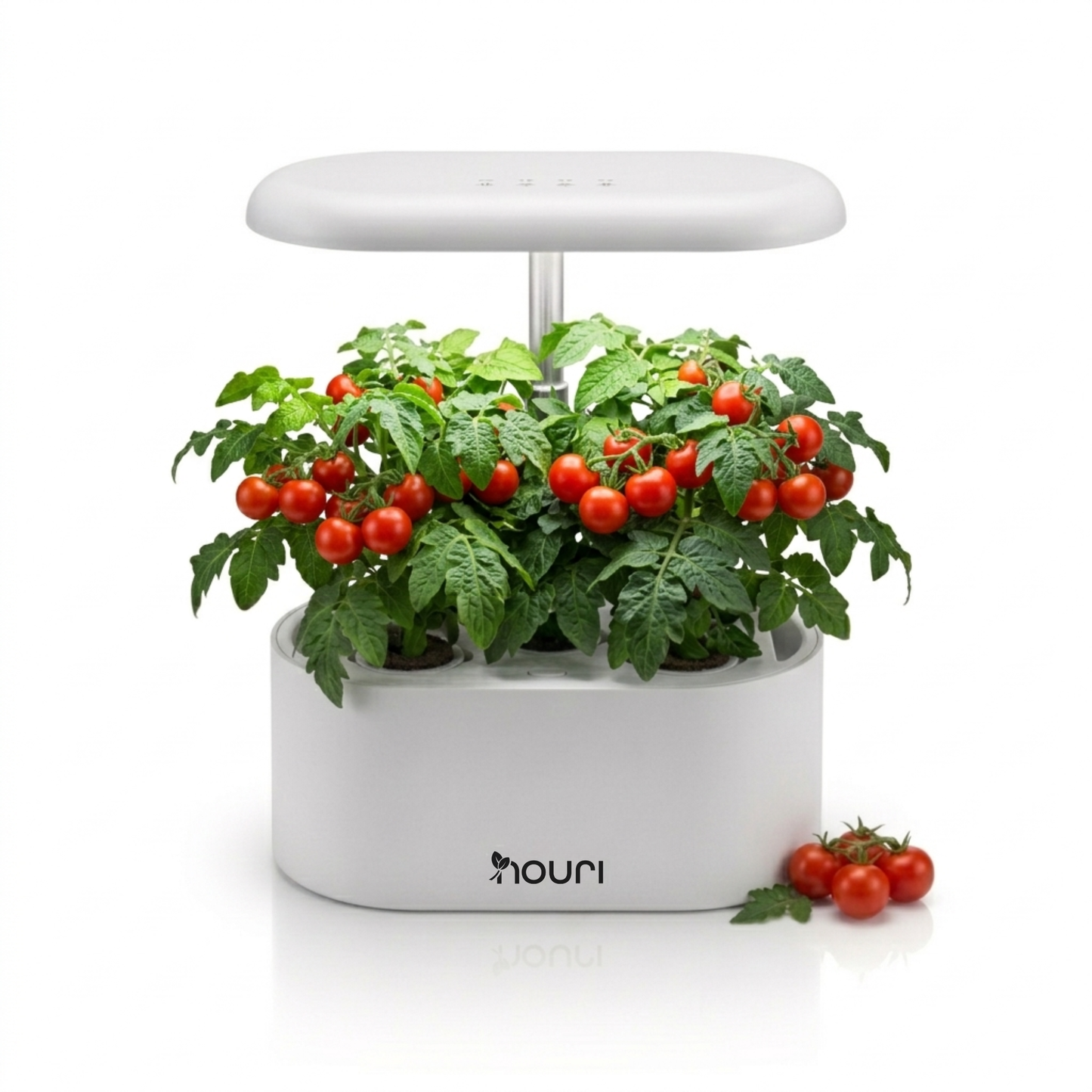 Nouri 5-Pod Indoor Hydroponic Garden
