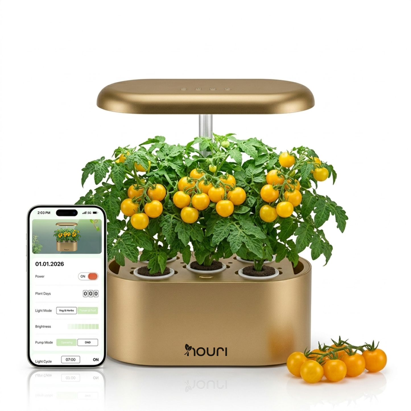 Nouri 5-Pod Indoor Hydroponic Garden