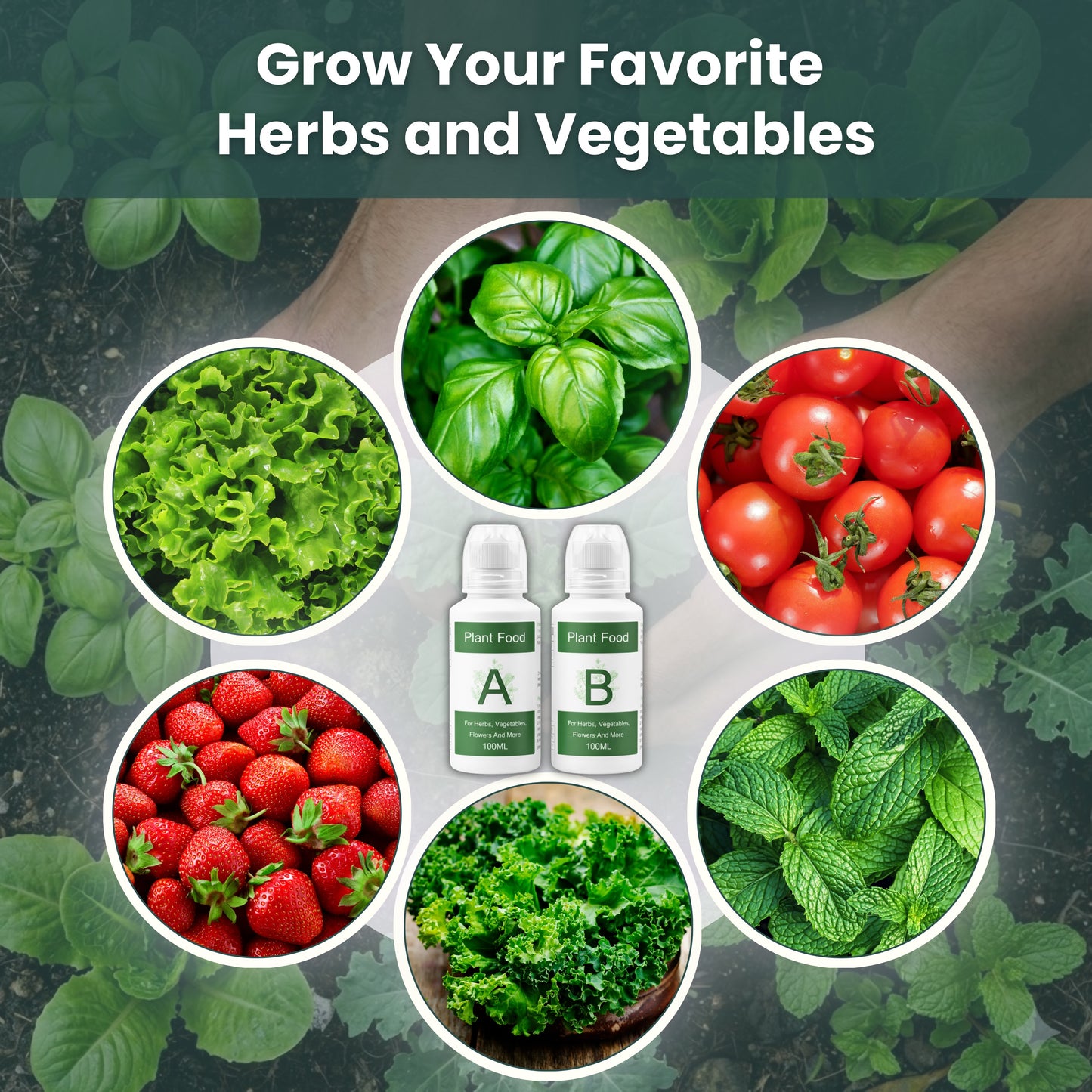 Nouri Hydroponic Nutrients Plant Food A and B – Hydroponics Fertilizer