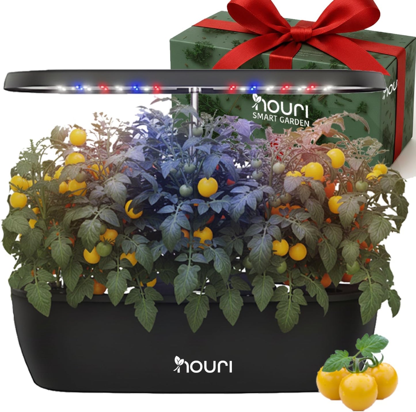 Nouri 5/7/12 pod APP/Smart Garden for Home Cooks | Hydroponics Growing System | LED Grow Lights | Indoor Herb Garden Kit | Herb Growing Kit Indoors for Plant Lovers, Gardeners, Kitchen