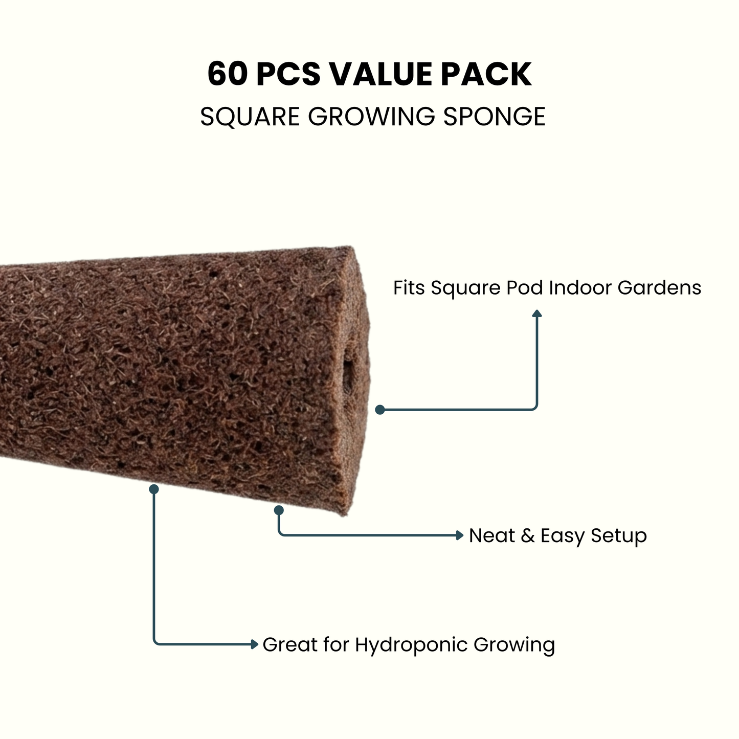 Nouri Square Grow Sponges