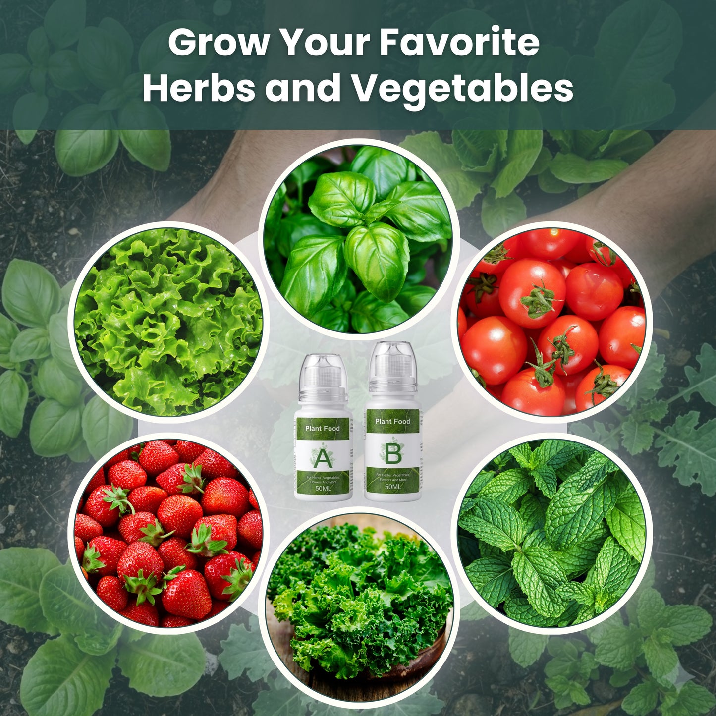 Nouri Hydroponic Nutrients Plant Food A and B – Hydroponics Fertilizer