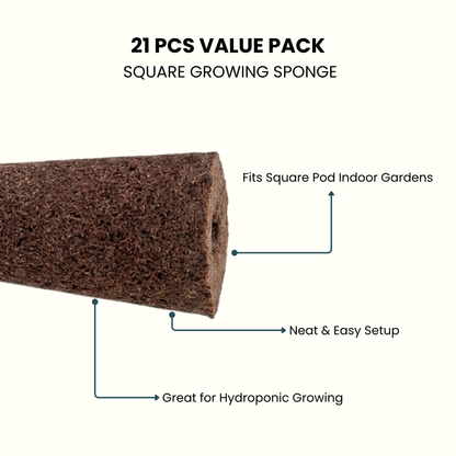 Nouri Square Grow Sponges