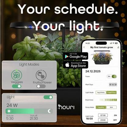 Nouri 12-Pod Indoor Hydroponic Garden