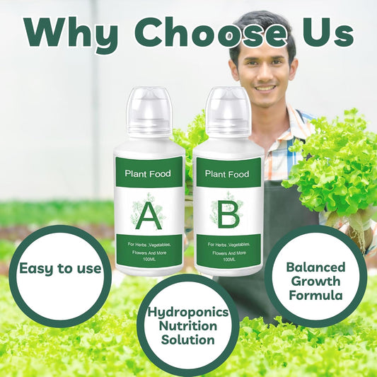 Nouri Hydroponic Liquid Plant Food Fertilizer A and B Nutrients, Hydroponic Growing System Accessory for Indoor Plants, Liquid Fertilizer for Indoor Vegetables Plants, Herb Garden and Flowering Plants
