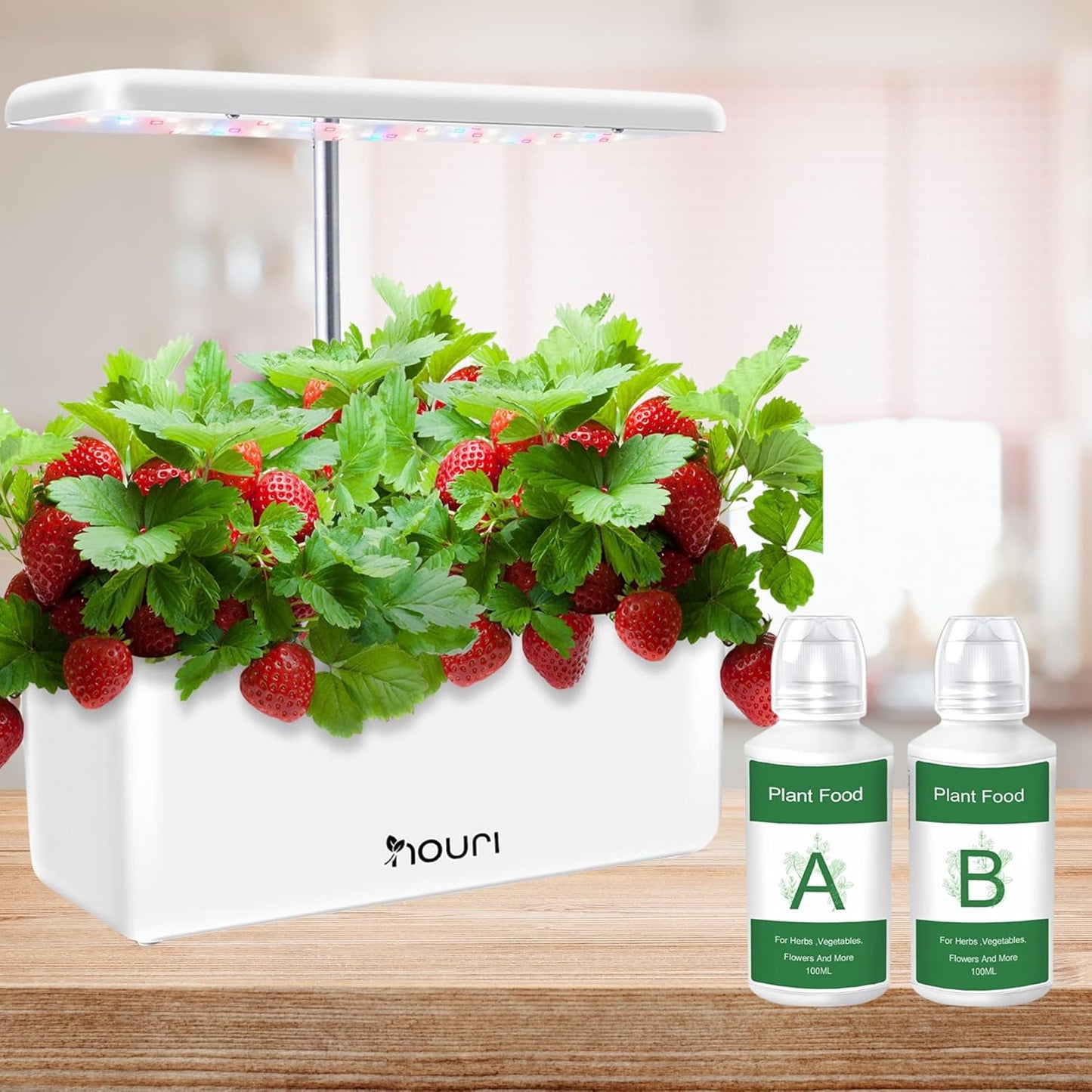 Nouri Hydroponic Liquid Plant Food Fertilizer A and B Nutrients, Hydroponic Growing System Accessory for Indoor Plants, Liquid Fertilizer for Indoor Vegetables Plants, Herb Garden and Flowering Plants