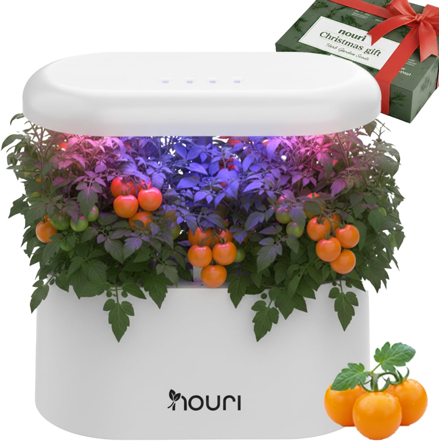Nouri 5/7/12 pod APP/Smart Garden for Home Cooks | Hydroponics Growing System | LED Grow Lights | Indoor Herb Garden Kit | Herb Growing Kit Indoors for Plant Lovers, Gardeners, Kitchen