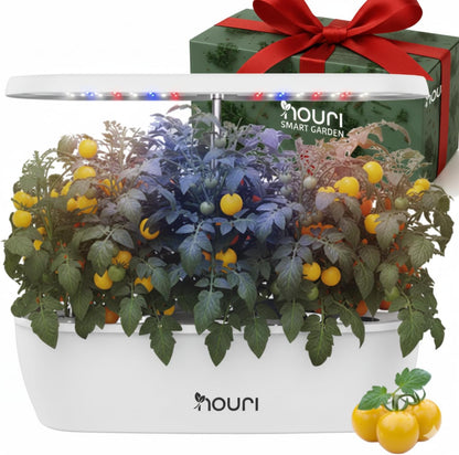 Nouri 5/7/12 pod APP/Smart Garden for Home Cooks | Hydroponics Growing System | LED Grow Lights | Indoor Herb Garden Kit | Herb Growing Kit Indoors for Plant Lovers, Gardeners, Kitchen